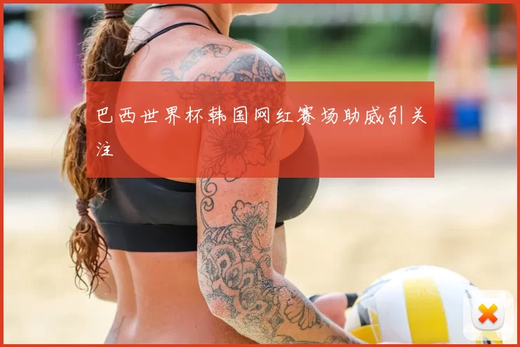 巴西世界杯韩国网红赛场助威引关注
