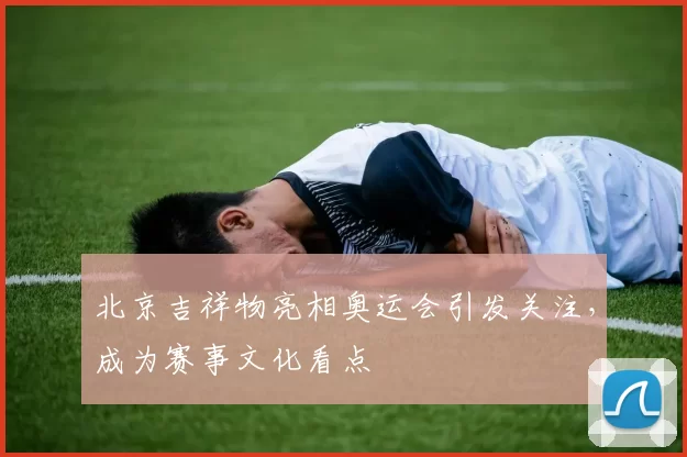 北京吉祥物亮相奥运会引发关注，成为赛事文化看点