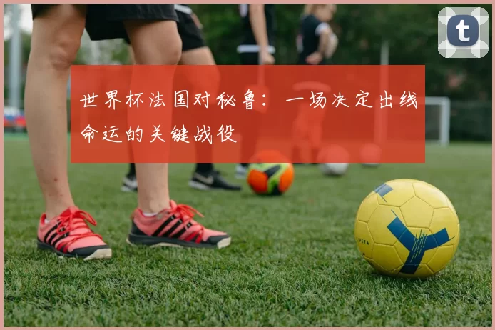 世界杯法国对秘鲁：一场决定出线命运的关键战役