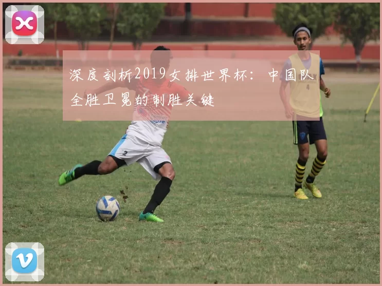 深度剖析2019女排世界杯：中国队全胜卫冕的制胜关键