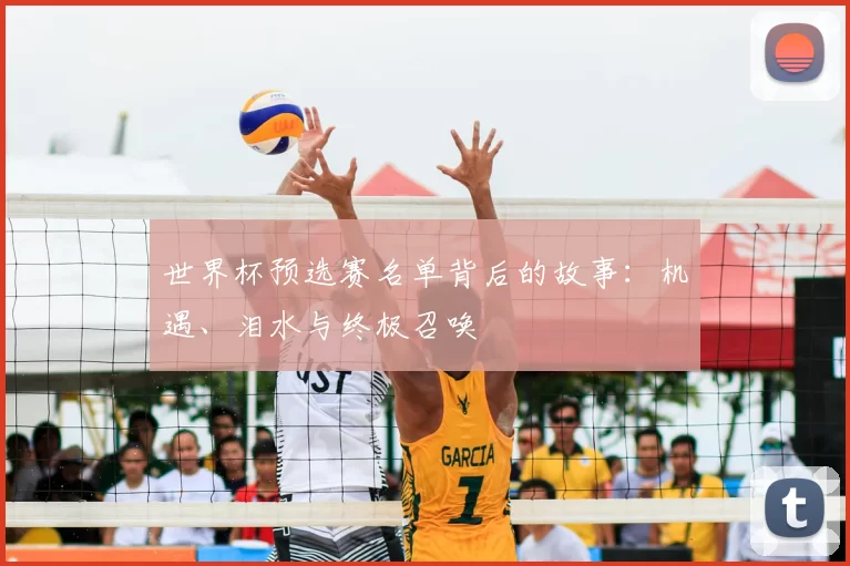 世界杯预选赛名单背后的故事：机遇、泪水与终极召唤