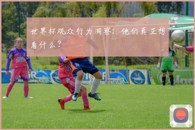 世界杯观众行为洞察：他们真正想看什么？