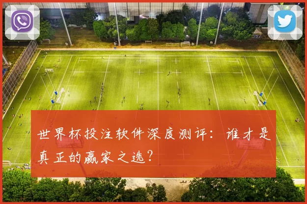 世界杯投注软件深度测评：谁才是真正的赢家之选？