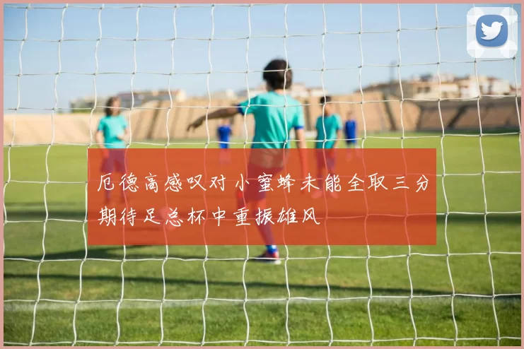 厄德高感叹对小蜜蜂未能全取三分期待足总杯中重振雄风