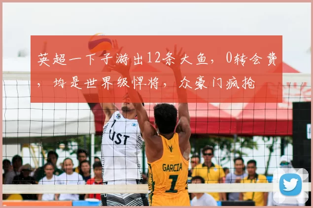 英超一下子游出12条大鱼，0转会费，均是世界级悍将，众豪门疯抢