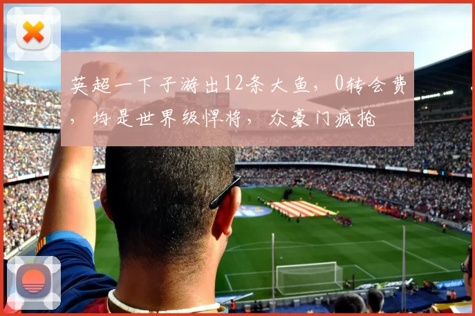 英超一下子游出12条大鱼，0转会费，均是世界级悍将，众豪门疯抢