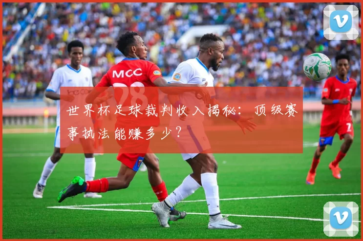 世界杯足球裁判收入揭秘:顶级赛事执法能赚多少?