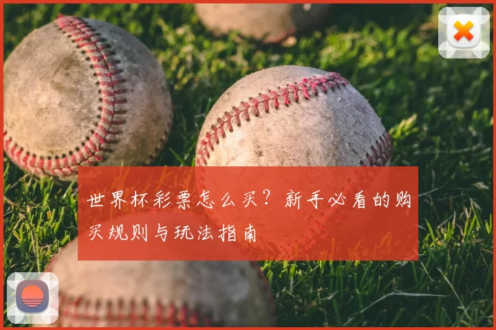 世界杯彩票怎么买?新手必看的购买规则与玩法指南