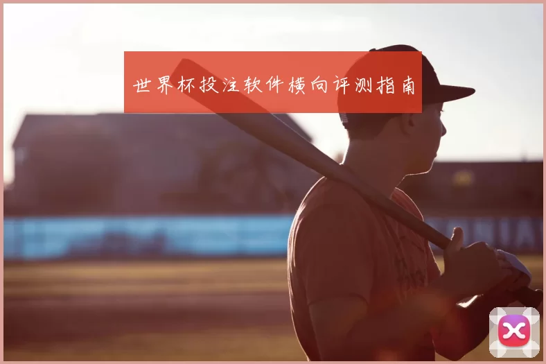 世界杯投注软件横向评测指南