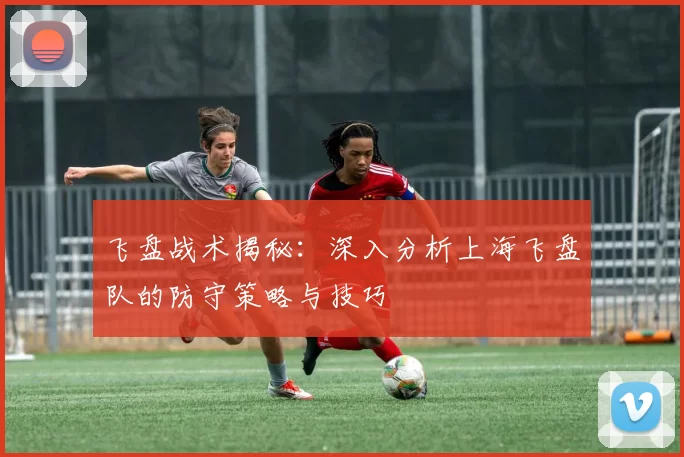 飞盘战术揭秘：深入分析上海飞盘队的防守策略与技巧