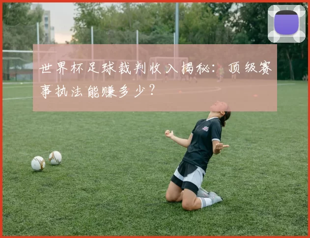 世界杯足球裁判收入揭秘:顶级赛事执法能赚多少?