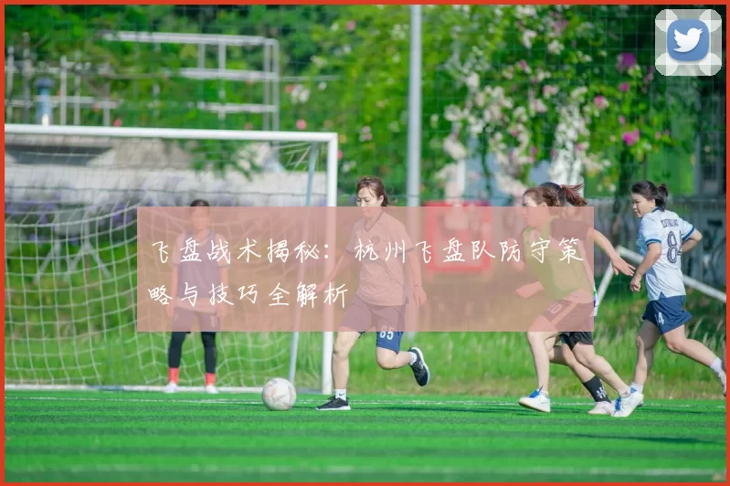 飞盘战术揭秘：杭州飞盘队防守策略与技巧全解析