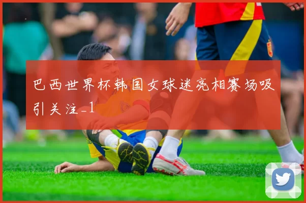 巴西世界杯韩国女球迷亮相赛场吸引关注_1