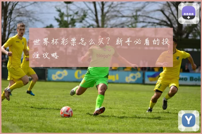 世界杯彩票怎么买？新手必看的投注攻略