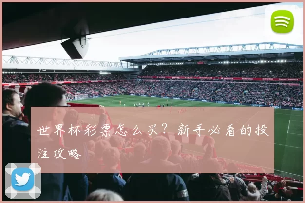 世界杯彩票怎么买?新手必看的投注攻略