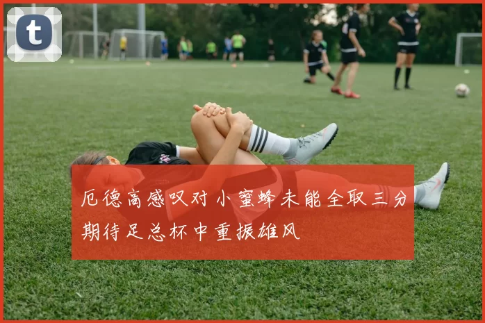 厄德高感叹对小蜜蜂未能全取三分期待足总杯中重振雄风