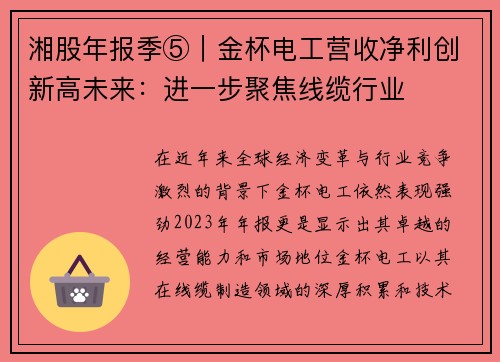 湘股年报季⑤｜金杯电工营收净利创新高未来：进一步聚焦线缆行业