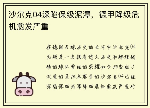 沙尔克04深陷保级泥潭，德甲降级危机愈发严重